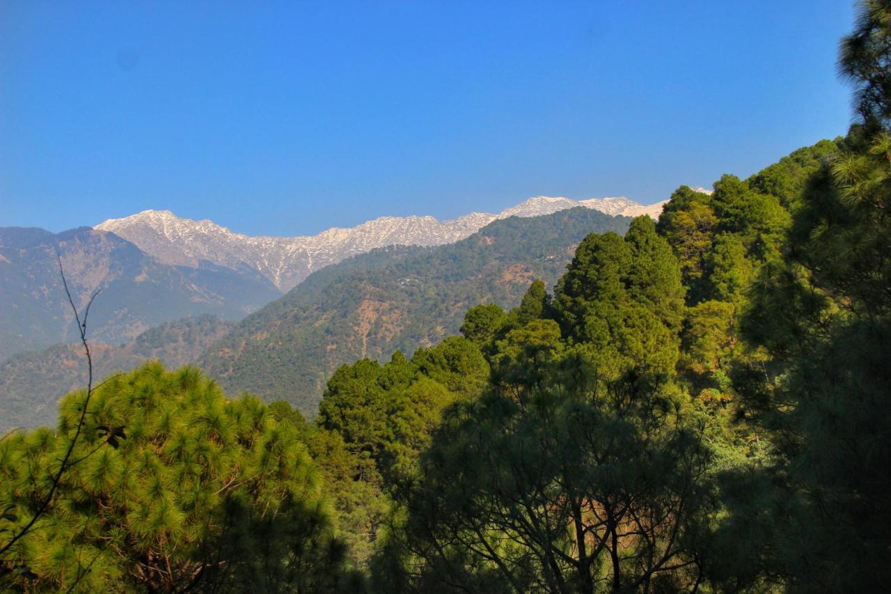 Rendezvous Resort Dharamshala Esterno foto